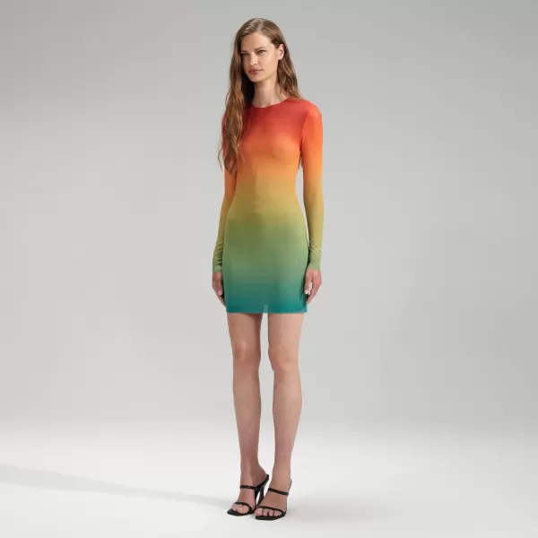 Dresses*Self-Portrait Ombre Mesh Mini Dress